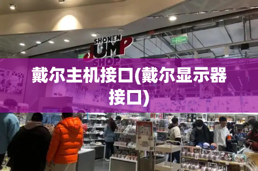 戴尔主机接口(戴尔显示器接口)