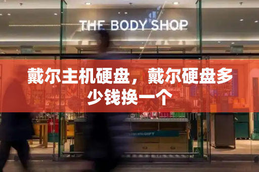 戴尔主机硬盘，戴尔硬盘多少钱换一个-第1张图片-星选测评