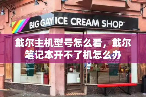 戴尔主机型号怎么看，戴尔笔记本开不了机怎么办-第1张图片-星选测评