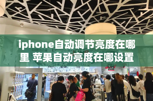 iphone自动调节亮度在哪里 苹果自动亮度在哪设置