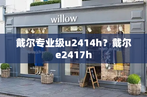 戴尔专业级u2414h？戴尔e2417h