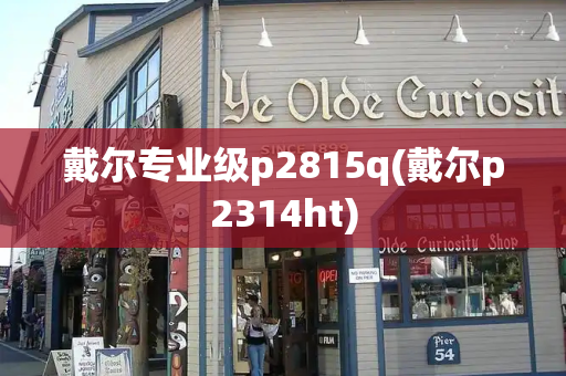 戴尔专业级p2815q(戴尔p2314ht)-第1张图片-星选测评