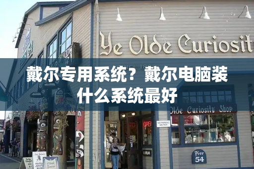戴尔专用系统？戴尔电脑装什么系统最好