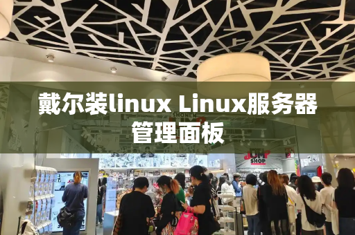 戴尔装linux Linux服务器管理面板