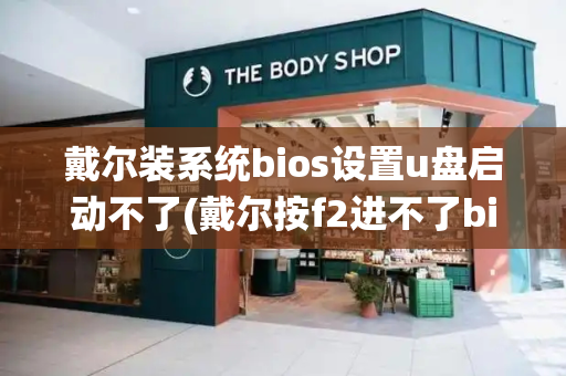戴尔装系统bios设置u盘启动不了(戴尔按f2进不了bios)