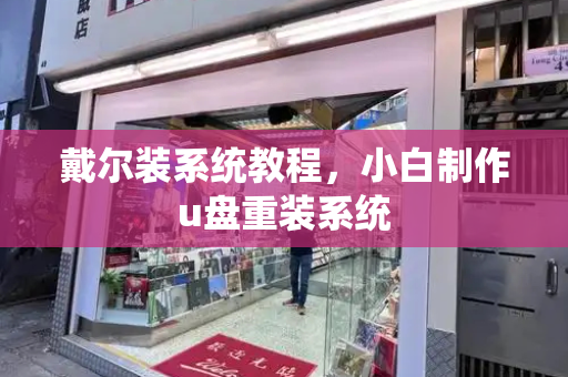 戴尔装系统教程，小白制作u盘重装系统-第1张图片-星选测评