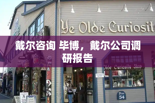 戴尔咨询 毕博，戴尔公司调研报告