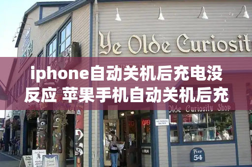 iphone自动关机后充电没反应 苹果手机自动关机后充不进电怎么办-第1张图片-星选测评