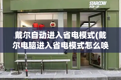 戴尔自动进入省电模式(戴尔电脑进入省电模式怎么唤醒)