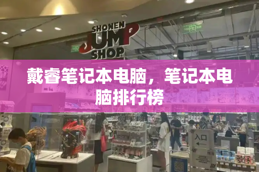 戴睿笔记本电脑，笔记本电脑排行榜-第1张图片-星选测评