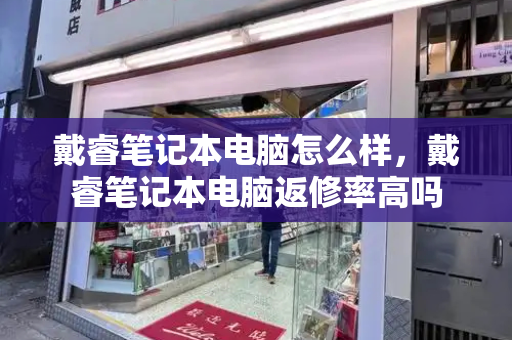 戴睿笔记本电脑怎么样，戴睿笔记本电脑返修率高吗-第1张图片-星选测评