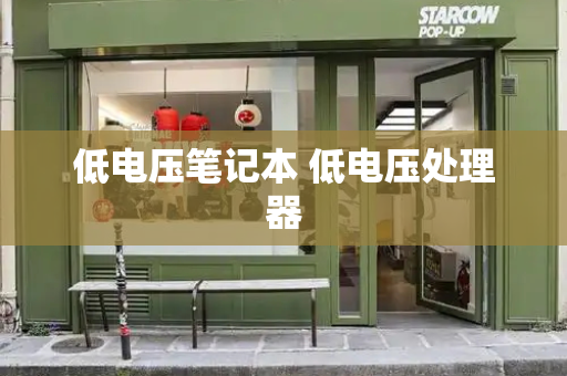 低电压笔记本 低电压处理器