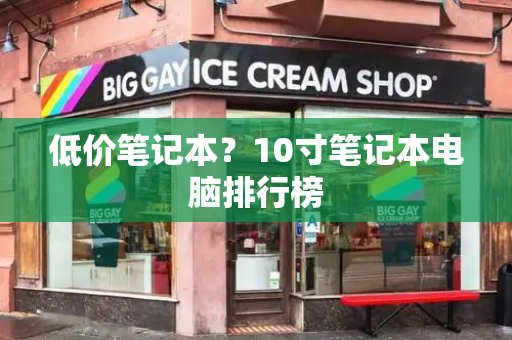 低价笔记本？10寸笔记本电脑排行榜