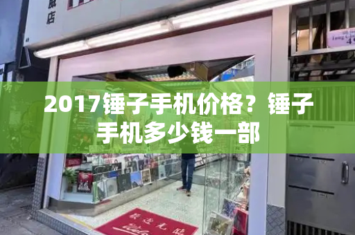 2017锤子手机价格？锤子手机多少钱一部-第1张图片-星选测评