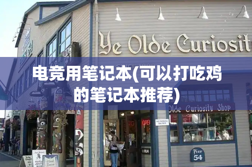 电竞用笔记本(可以打吃鸡的笔记本推荐)-第1张图片-星选测评