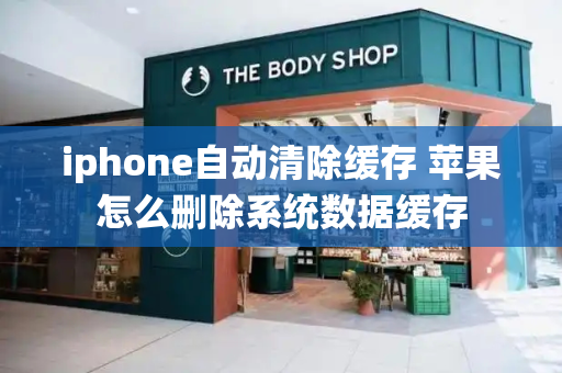 iphone自动清除缓存 苹果怎么删除系统数据缓存