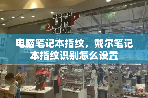 电脑笔记本指纹，戴尔笔记本指纹识别怎么设置