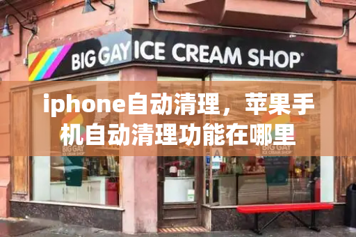iphone自动清理，苹果手机自动清理功能在哪里-第1张图片-星选测评