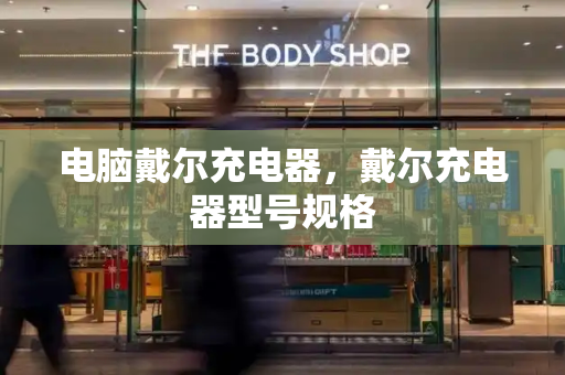 电脑戴尔充电器，戴尔充电器型号规格