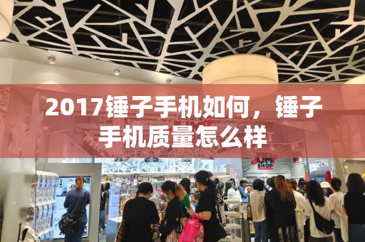 2017锤子手机如何，锤子手机质量怎么样-第1张图片-星选测评