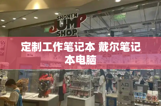 定制工作笔记本 戴尔笔记本电脑-第1张图片-星选测评