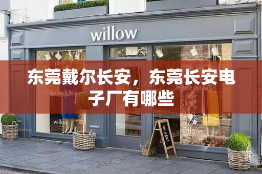 东莞戴尔长安，东莞长安电子厂有哪些
