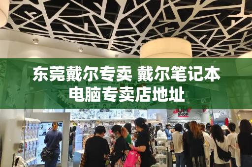 东莞戴尔专卖 戴尔笔记本电脑专卖店地址