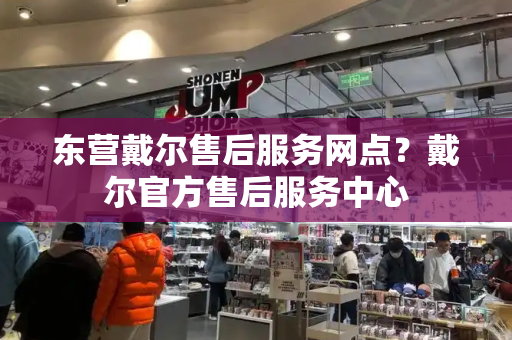 东营戴尔售后服务网点？戴尔官方售后服务中心-第1张图片-星选测评