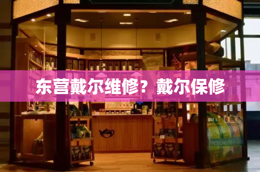 东营戴尔维修？戴尔保修-第1张图片-星选测评