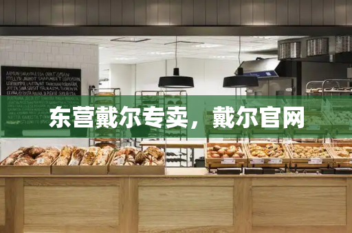 东营戴尔专卖，戴尔官网-第1张图片-星选测评
