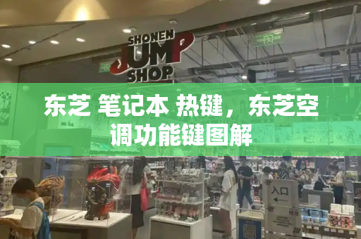 东芝 笔记本 热键，东芝空调功能键图解