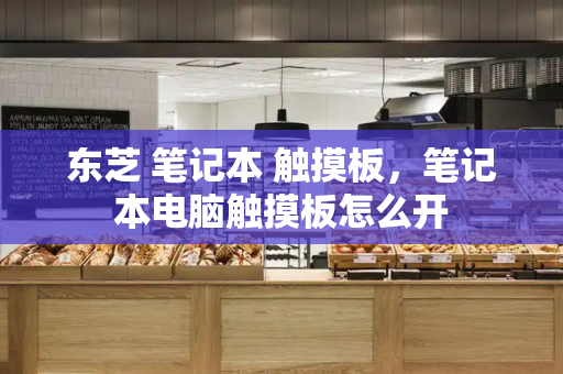 东芝 笔记本 触摸板，笔记本电脑触摸板怎么开-第1张图片-星选测评