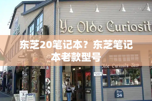 东芝20笔记本？东芝笔记本老款型号-第1张图片-星选测评