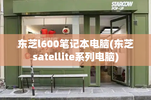 东芝l600笔记本电脑(东芝satellite系列电脑)