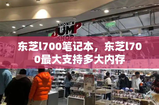 东芝l700笔记本，东芝l700最大支持多大内存