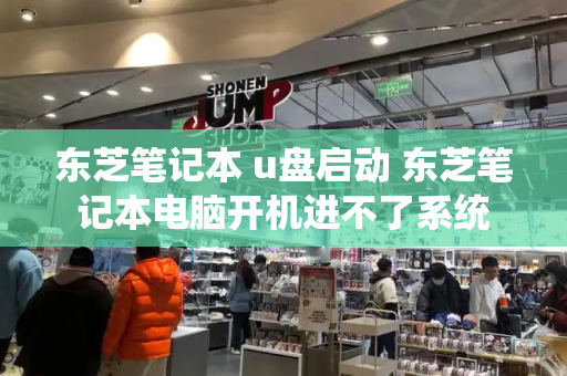 东芝笔记本 u盘启动 东芝笔记本电脑开机进不了系统