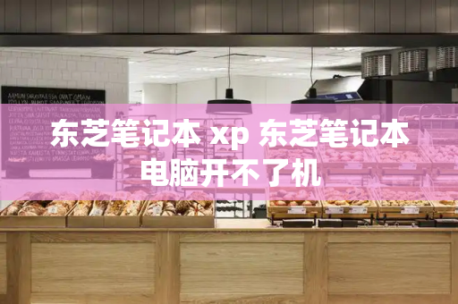 东芝笔记本 xp 东芝笔记本电脑开不了机-第1张图片-星选测评