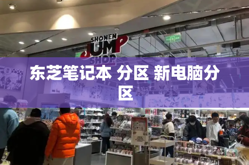 东芝笔记本 分区 新电脑分区