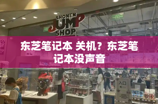 东芝笔记本 关机？东芝笔记本没声音