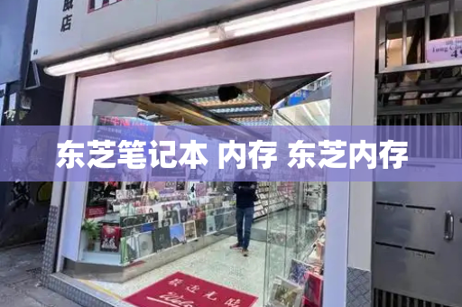 东芝笔记本 内存 东芝内存-第1张图片-星选测评