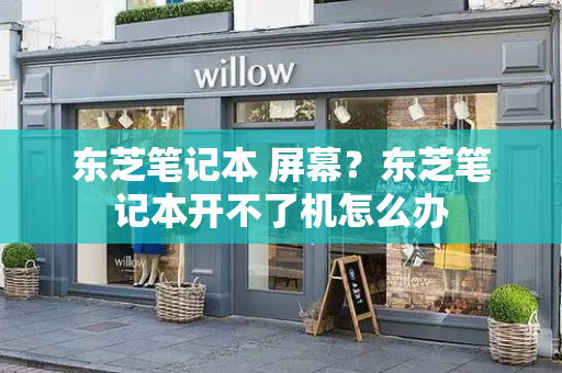 东芝笔记本 屏幕？东芝笔记本开不了机怎么办