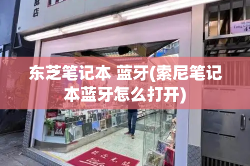东芝笔记本 蓝牙(索尼笔记本蓝牙怎么打开)-第1张图片-星选测评