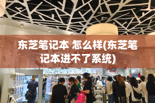 东芝笔记本 怎么样(东芝笔记本进不了系统)-第1张图片-星选测评