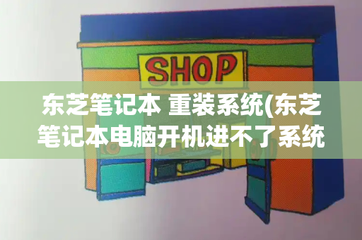 东芝笔记本 重装系统(东芝笔记本电脑开机进不了系统)-第1张图片-星选测评