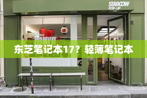 东芝笔记本17？轻薄笔记本