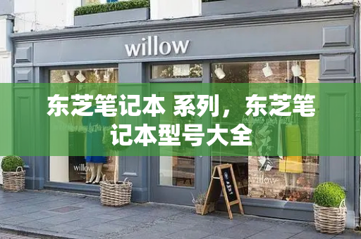 东芝笔记本 系列，东芝笔记本型号大全