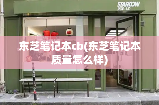东芝笔记本cb(东芝笔记本质量怎么样)-第1张图片-星选测评