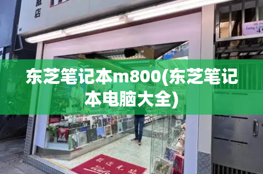东芝笔记本m800(东芝笔记本电脑大全)-第1张图片-星选测评