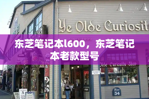 东芝笔记本l600，东芝笔记本老款型号