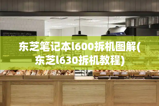 东芝笔记本l600拆机图解(东芝l630拆机教程)-第1张图片-星选测评